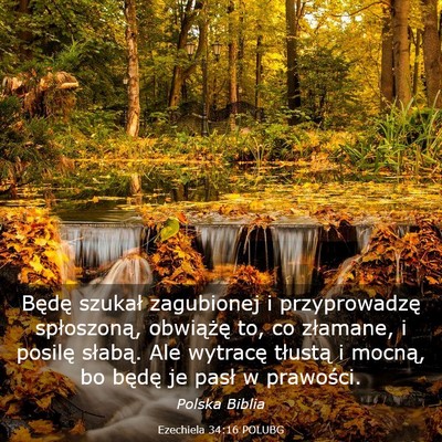Picture 03 - Ezechiela 34:16 POLUBG - Będę szukał zagubionej i przyprowadzę - Bible Verse Picture