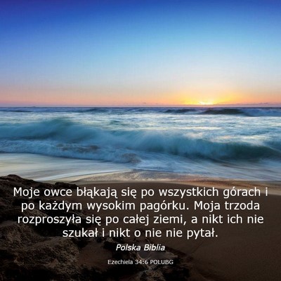 Picture 03 - Ezechiela 34:6 POLUBG - Moje owce błąkają się po wszystkich górach i - Bible Verse Picture