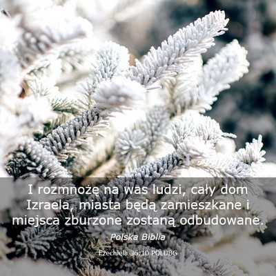 Picture 03 - Ezechiela 36:10 POLUBG - I rozmnożę na was ludzi, cały dom Izraela, - Bible Verse Picture
