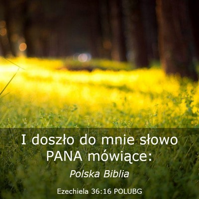 Picture 03 - Ezechiela 36:16 POLUBG - I doszło do mnie słowo PANA - Bible Verse Picture