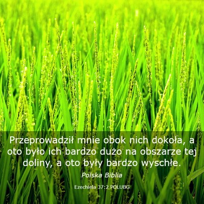 Picture 03 - Ezechiela 37:2 POLUBG - Przeprowadził mnie obok nich dokoła, a oto - Bible Verse Picture