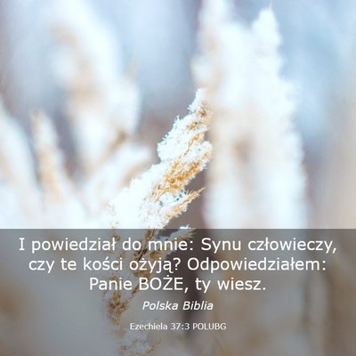 Picture 03 - Ezechiela 37:3 POLUBG - I powiedział do mnie: Synu człowieczy, czy te - Bible Verse Picture