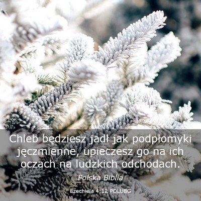 Picture 03 - Ezechiela 4:12 POLUBG - Chleb będziesz jadł jak podpłomyki - Bible Verse Picture