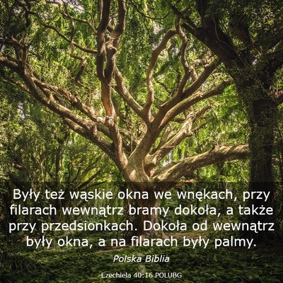 Picture 03 - Ezechiela 40:16 POLUBG - Były też wąskie okna we wnękach, przy - Bible Verse Picture