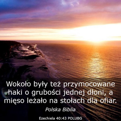 Picture 03 - Ezechiela 40:43 POLUBG - Wokoło były też przymocowane haki o grubości - Bible Verse Picture
