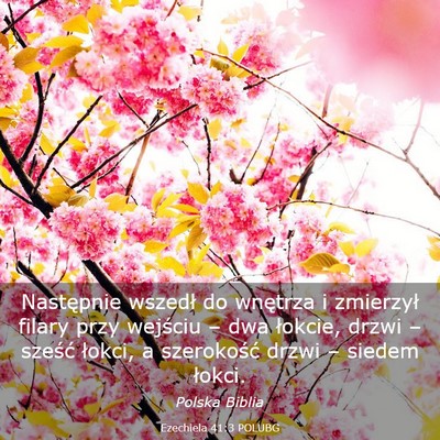 Picture 03 - Ezechiela 41:3 POLUBG - Następnie wszedł do wnętrza i zmierzył filary - Bible Verse Picture