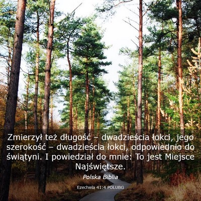 Picture 03 - Ezechiela 41:4 POLUBG - Zmierzył też długość – dwadzieścia - Bible Verse Picture