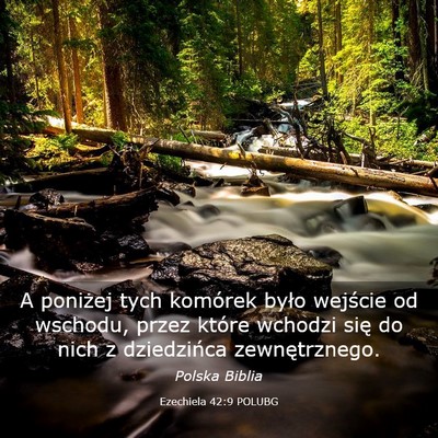 Picture 03 - Ezechiela 42:9 POLUBG - A poniżej tych komórek było wejście od - Bible Verse Picture