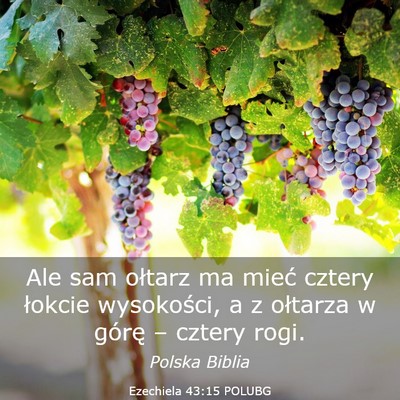 Picture 03 - Ezechiela 43:15 POLUBG - Ale sam ołtarz ma mieć cztery łokcie - Bible Verse Picture