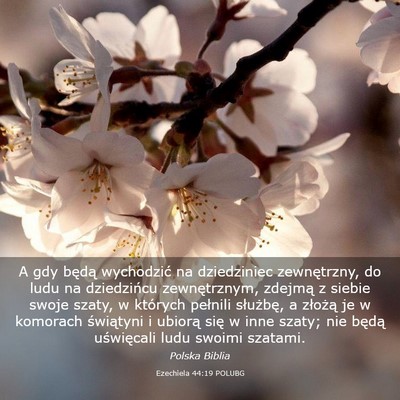 Picture 03 - Ezechiela 44:19 POLUBG - A gdy będą wychodzić na dziedziniec - Bible Verse Picture