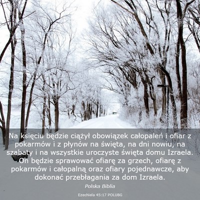 Picture 03 - Ezechiela 45:17 POLUBG - Na księciu będzie ciążył obowiązek - Bible Verse Picture