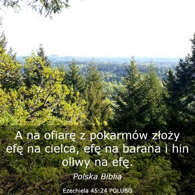 Picture 03 - Ezechiela 45:24 POLUBG - A na ofiarę z pokarmów złoży efę na cielca, - Bible Verse Picture
