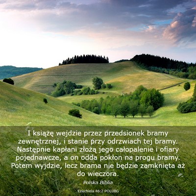 Picture 03 - Ezechiela 46:2 POLUBG - I książę wejdzie przez przedsionek bramy - Bible Verse Picture