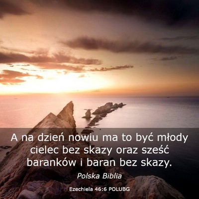 Picture 03 - Ezechiela 46:6 POLUBG - A na dzień nowiu ma to być młody cielec bez - Bible Verse Picture