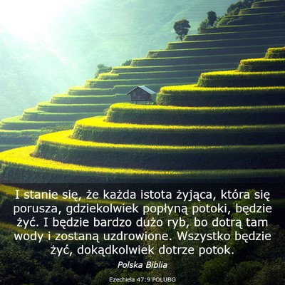 Picture 03 - Ezechiela 47:9 POLUBG - I stanie się, że każda istota żyjąca, która - Bible Verse Picture
