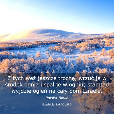 Picture 03 - Ezechiela 5:4 POLUBG - Z tych weź jeszcze trochę, wrzuć je w środek - Bible Verse Picture