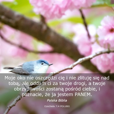 Picture 03 - Ezechiela 7:4 POLUBG - Moje oko nie oszczędzi cię i nie zlituję się - Bible Verse Picture