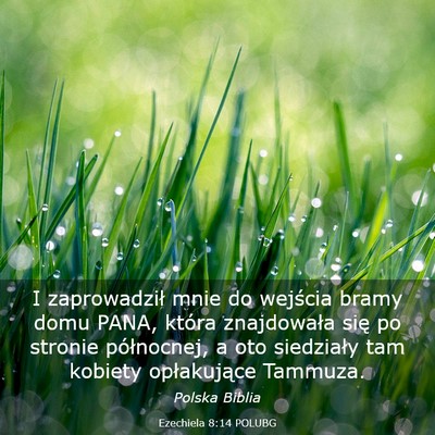 Picture 03 - Ezechiela 8:14 POLUBG - I zaprowadził mnie do wejścia bramy domu PANA, - Bible Verse Picture