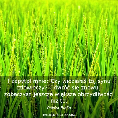 Picture 03 - Ezechiela 8:15 POLUBG - I zapytał mnie: Czy widziałeś to, synu - Bible Verse Picture
