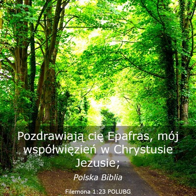 Picture 03 - Filemona 1:23 POLUBG - Pozdrawiają cię Epafras, mój współwięzień - Bible Verse Picture