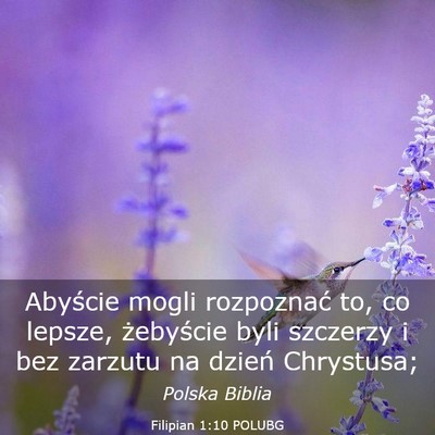 Picture 03 - Filipian 1:10 POLUBG - Abyście mogli rozpoznać to, co lepsze, - Bible Verse Picture