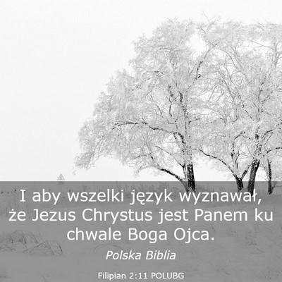 Picture 03 - Filipian 2:11 POLUBG - I aby wszelki język wyznawał, że Jezus - Bible Verse Picture