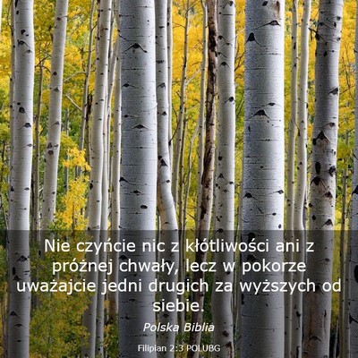 Picture 03 - Filipian 2:3 POLUBG - Nie czyńcie nic z kłótliwości ani z próżnej - Bible Verse Picture
