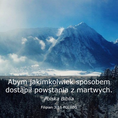 Picture 03 - Filipian 3:11 POLUBG - Abym jakimkolwiek sposobem dostąpił powstania z - Bible Verse Picture