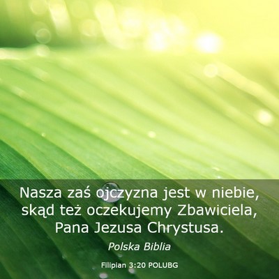 Picture 03 - Filipian 3:20 POLUBG - Nasza zaś ojczyzna jest w niebie, skąd też - Bible Verse Picture
