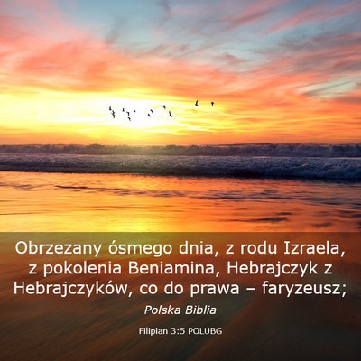 Picture 03 - Filipian 3:5 POLUBG - Obrzezany ósmego dnia, z rodu Izraela, z - Bible Verse Picture