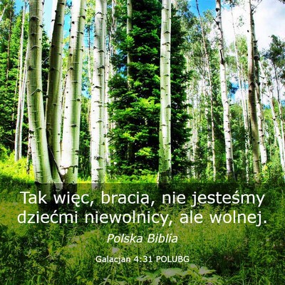 Picture 03 - Galacjan 4:31 POLUBG - Tak więc, bracia, nie jesteśmy dziećmi - Bible Verse Picture