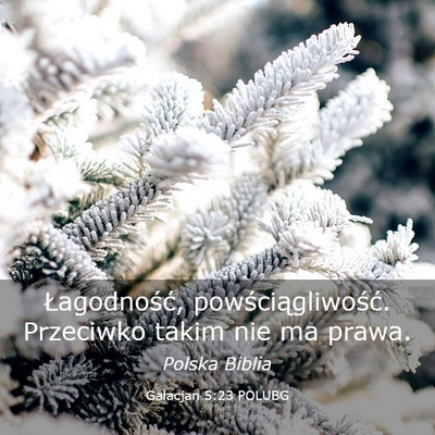 Picture 03 - Galacjan 5:23 POLUBG - Łagodność, powściągliwość. Przeciwko takim - Bible Verse Picture