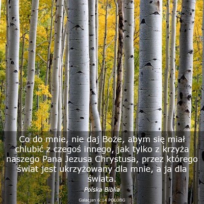Picture 03 - Galacjan 6:14 POLUBG - Co do mnie, nie daj Boże, abym się miał - Bible Verse Picture