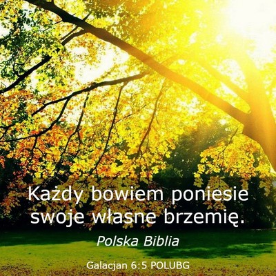 Picture 03 - Galacjan 6:5 POLUBG - Każdy bowiem poniesie swoje własne - Bible Verse Picture