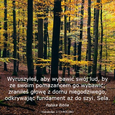 Picture 03 - Habakuka 3:13 POLUBG - Wyruszyłeś, aby wybawić swój lud, by ze swoim - Bible Verse Picture