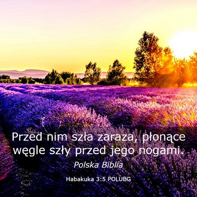Picture 03 - Habakuka 3:5 POLUBG - Przed nim szła zaraza, płonące węgle szły - Bible Verse Picture