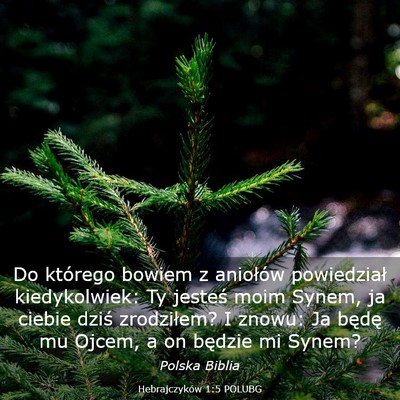 Picture 03 - Hebrajczyków 1:5 POLUBG - Do którego bowiem z aniołów powiedział - Bible Verse Picture