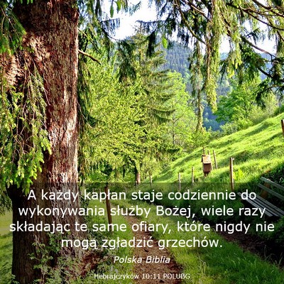 Picture 03 - Hebrajczyków 10:11 POLUBG - A każdy kapłan staje codziennie do wykonywania - Bible Verse Picture