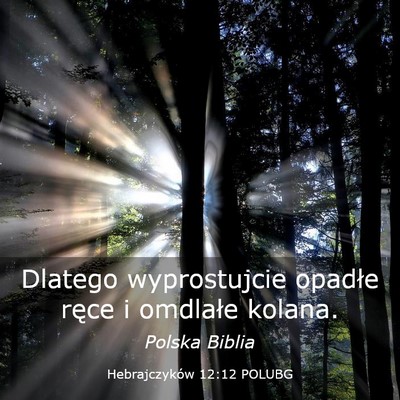 Picture 03 - Hebrajczyków 12:12 POLUBG - Dlatego wyprostujcie opadłe ręce i omdlałe - Bible Verse Picture