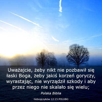 Picture 03 - Hebrajczyków 12:15 POLUBG - Uważajcie, żeby nikt nie pozbawił się łaski - Bible Verse Picture