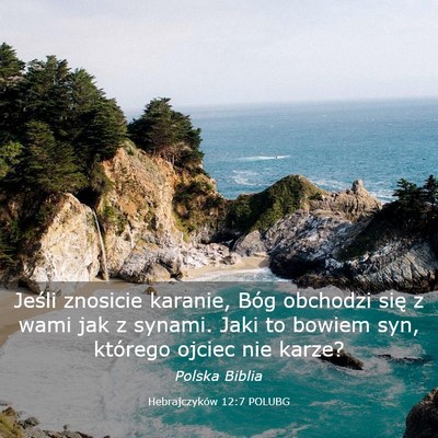 Picture 03 - Hebrajczyków 12:7 POLUBG - Jeśli znosicie karanie, Bóg obchodzi się z - Bible Verse Picture
