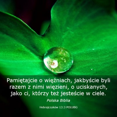 Picture 03 - Hebrajczyków 13:3 POLUBG - Pamiętajcie o więźniach, jakbyście byli razem - Bible Verse Picture