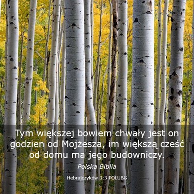 Picture 03 - Hebrajczyków 3:3 POLUBG - Tym większej bowiem chwały jest on godzien od - Bible Verse Picture