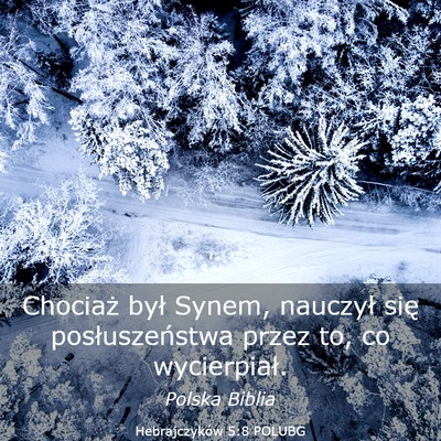 Picture 03 - Hebrajczyków 5:8 POLUBG - Chociaż był Synem, nauczył się - Bible Verse Picture