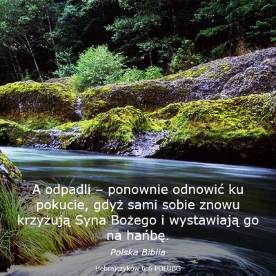 Picture 03 - Hebrajczyków 6:6 POLUBG - A odpadli – ponownie odnowić ku pokucie, gdyż - Bible Verse Picture