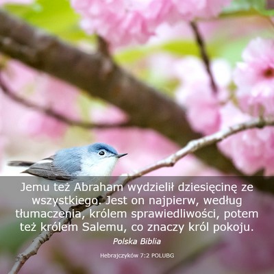 Picture 03 - Hebrajczyków 7:2 POLUBG - Jemu też Abraham wydzielił dziesięcinę ze - Bible Verse Picture