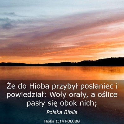 Picture 03 - Hioba 1:14 POLUBG - Że do Hioba przybył posłaniec i powiedział: - Bible Verse Picture