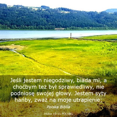 Picture 03 - Hioba 10:15 POLUBG - Jeśli jestem niegodziwy, biada mi, a choćbym - Bible Verse Picture