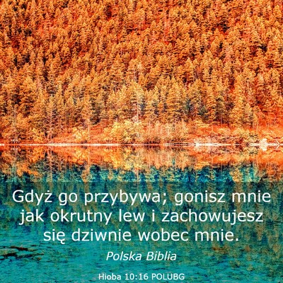 Picture 03 - Hioba 10:16 POLUBG - Gdyż go przybywa; gonisz mnie jak okrutny lew i - Bible Verse Picture