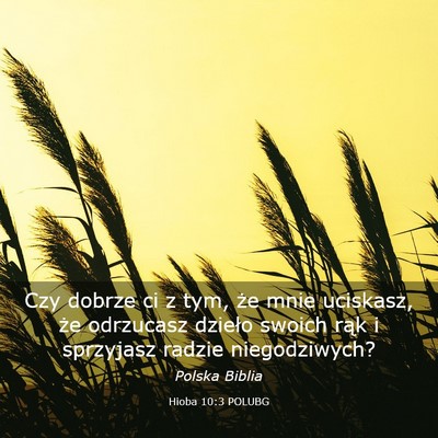 Picture 03 - Hioba 10:3 POLUBG - Czy dobrze ci z tym, że mnie uciskasz, że - Bible Verse Picture